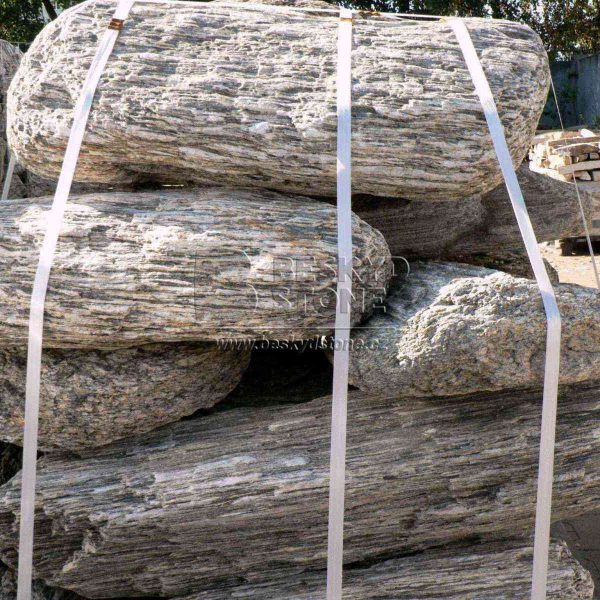 Solitérní kámen - zkamenělé dřevo